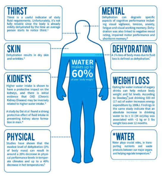 What Dehydration Does To Your Body Will Scare You Out Of Future