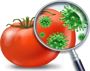 Listeriosis