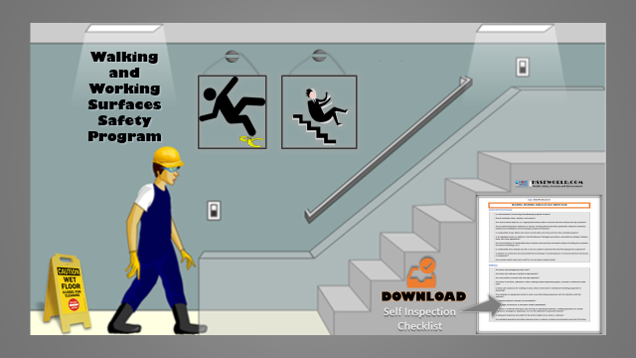 Guides for Walking and Working Surfaces Safety Program