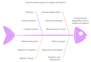 The Impact of Single-Use Plastics